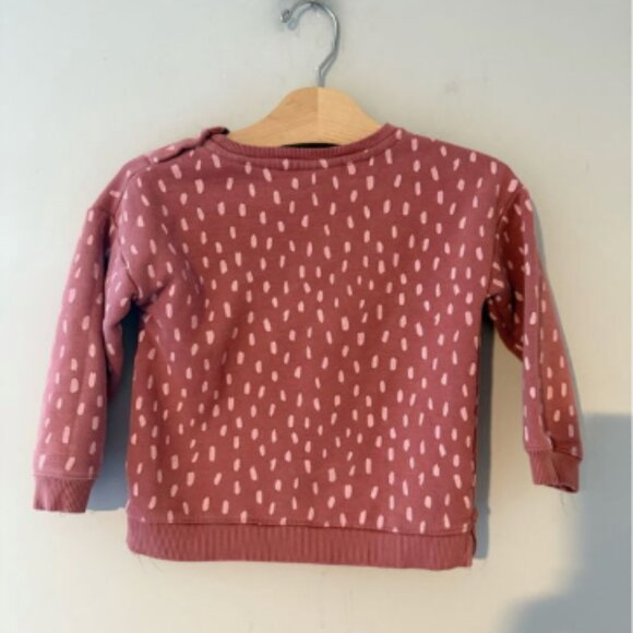 $16 ADD ON Zara sweatshirt 3Y 4Y Janie and Jack Little Co. H&M Gap Mini Boden - Picture 2 of 2